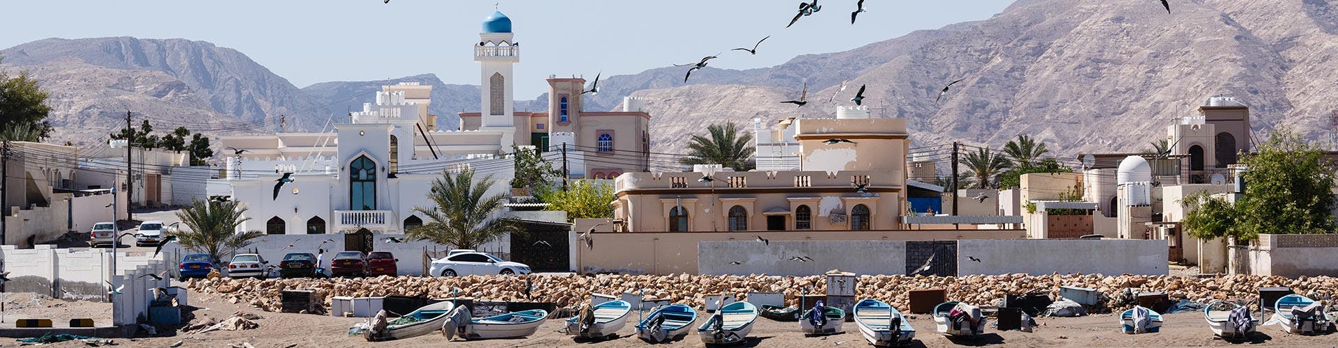 muscat-by-night image